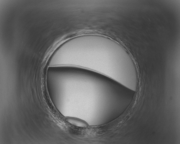 X0000085740103200703160914