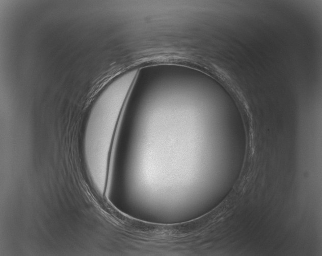X0000085740105200703160914