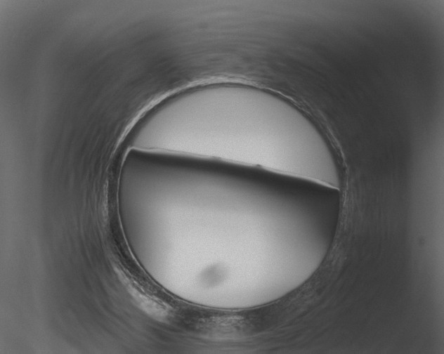 X0000085740108200703160913