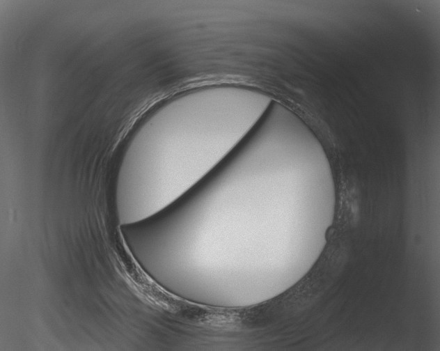 X0000085740110200703160913