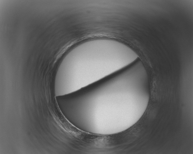 X0000085740116200703160913