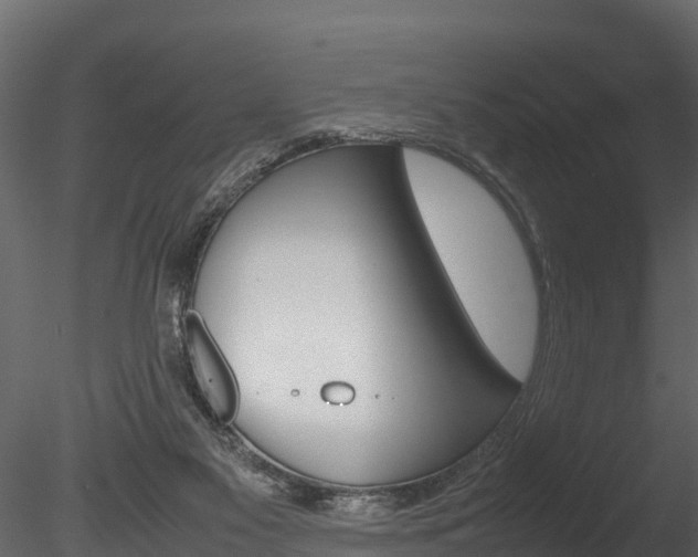 X0000085740117200703160913