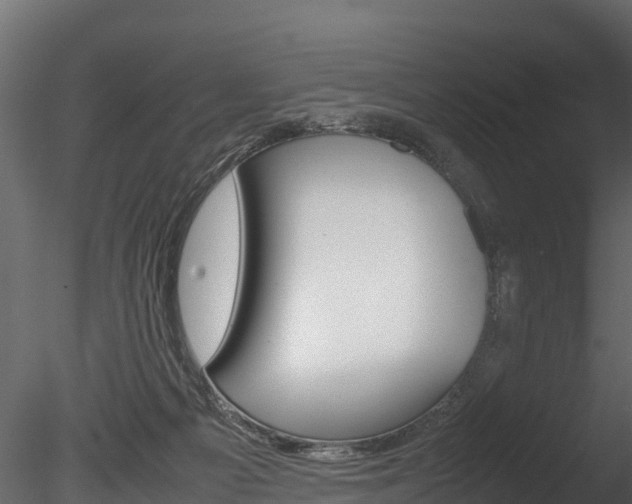 X0000085740121200703160913