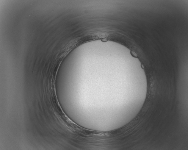 X0000085740122200703160913