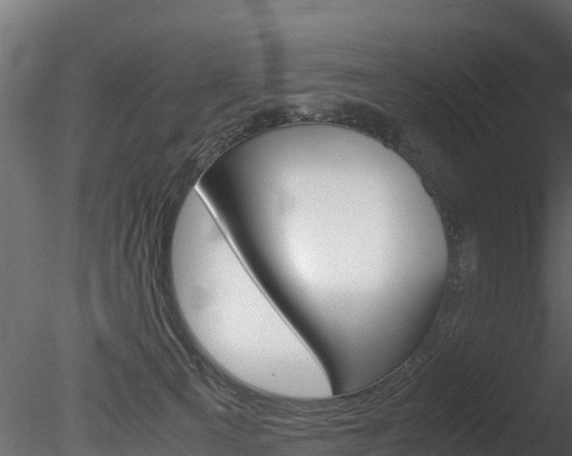 X0000085740129200703160913