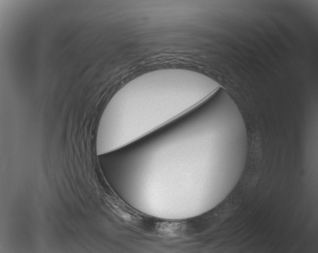 X0000085740135200703160913