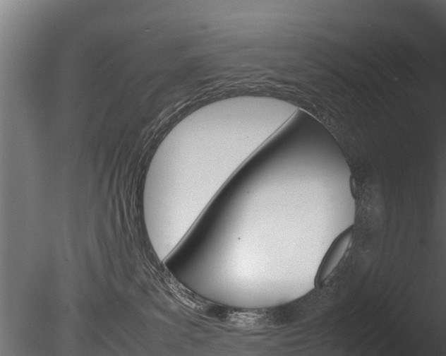 X0000085740139200703160913