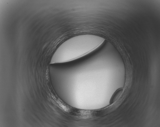 X0000085740144200703160913