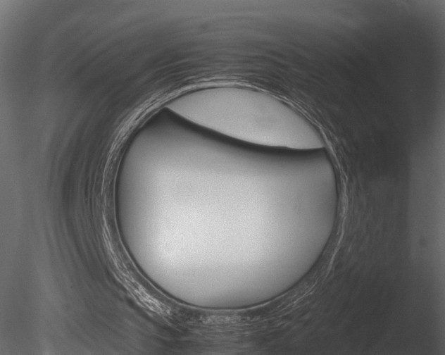 X0000085740145200703160912