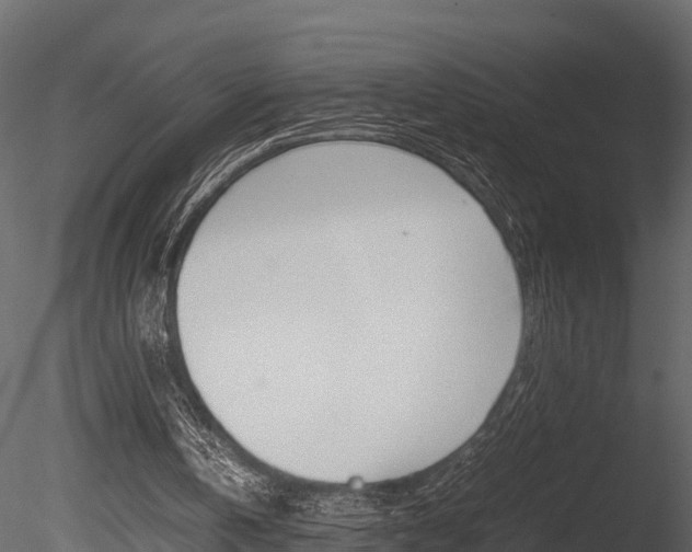 X0000085740146200703160912
