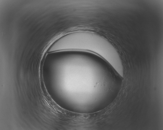 X0000085740148200703160912