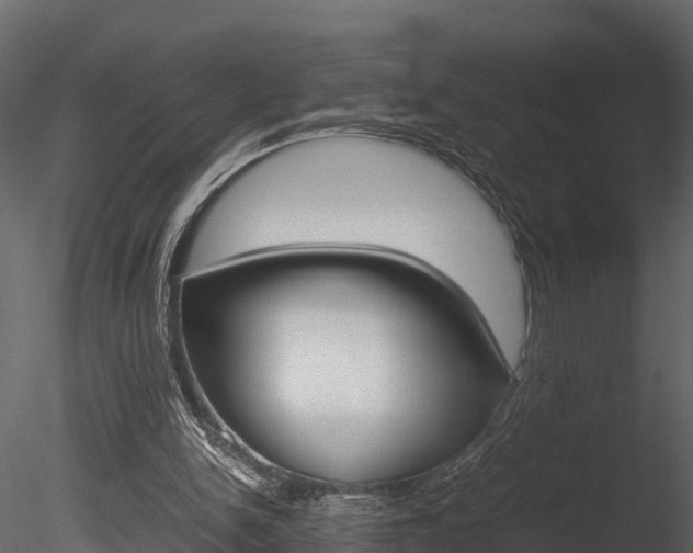 X0000085740150200703160912