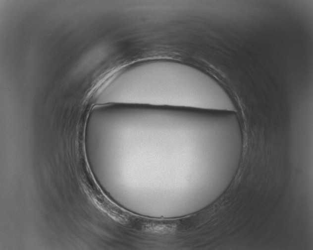 X0000085740155200703160912