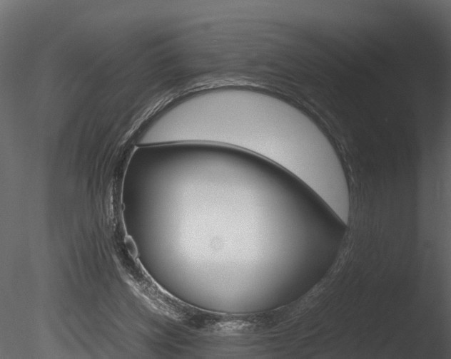 X0000085740158200703160912