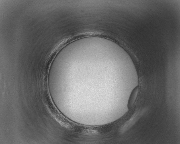 X0000085740159200703160912
