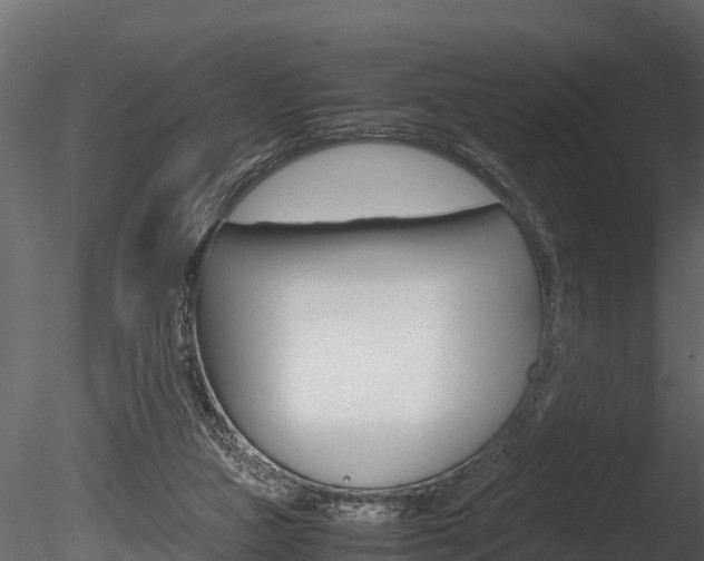 X0000085740161200703160912