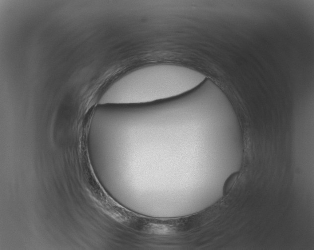 X0000085740167200703160912