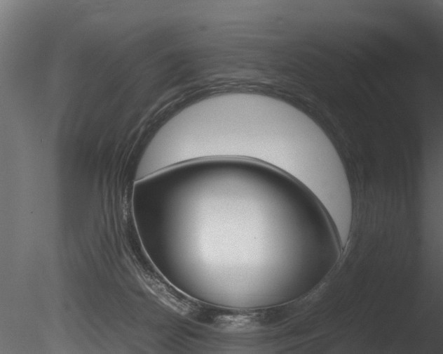 X0000085740170200703160912