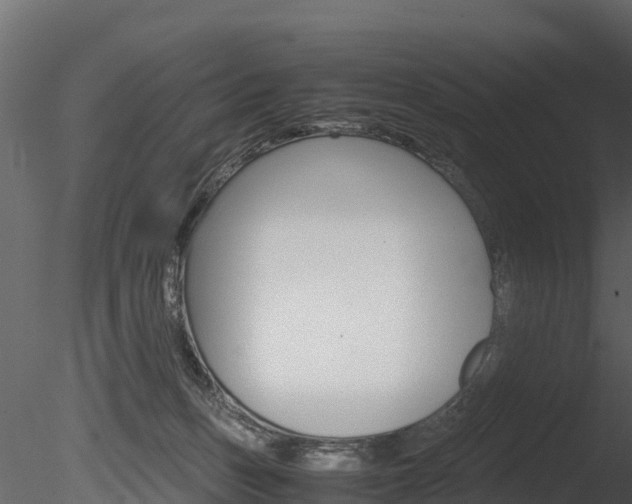 X0000085740175200703160913