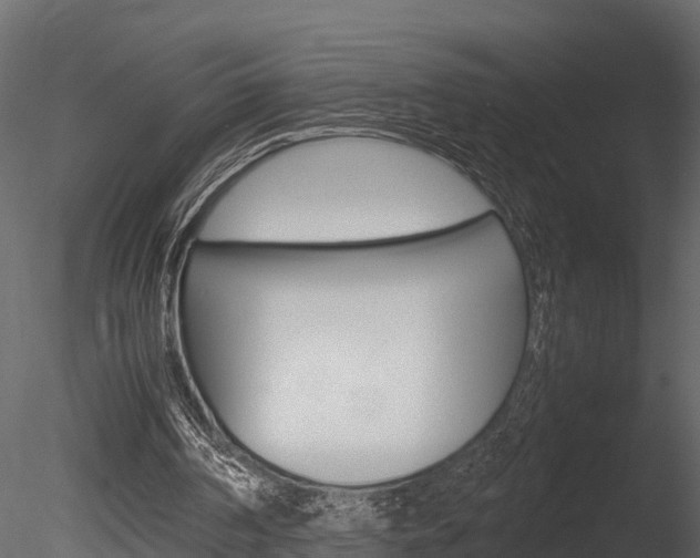 X0000085740194200703160912