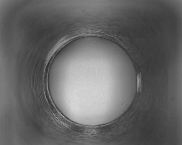 X0000085740195200703160912
