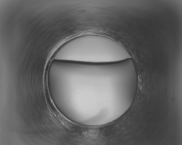 X0000085740196200703160912