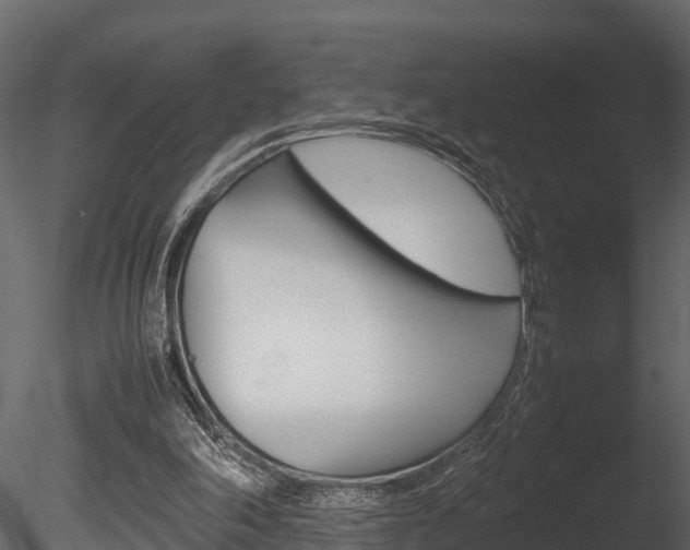 X0000085740198200703160912