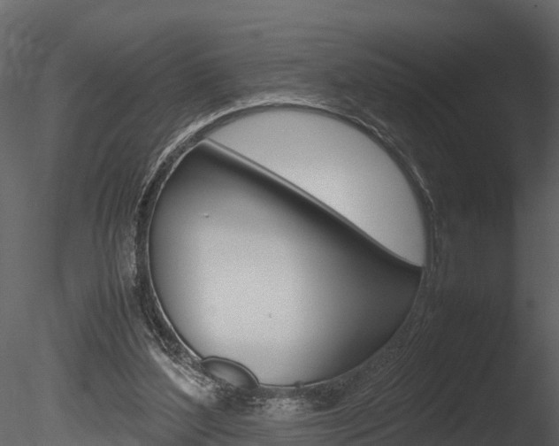 X0000085740204200703160912