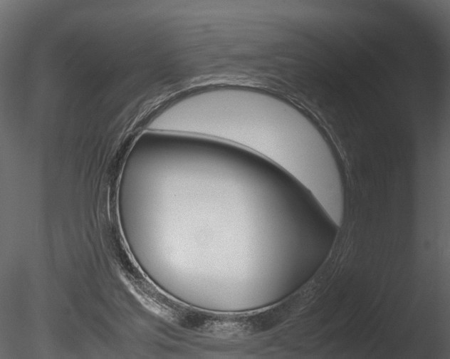 X0000085740205200703160912