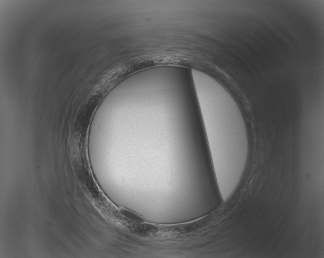 X0000085740209200703160912