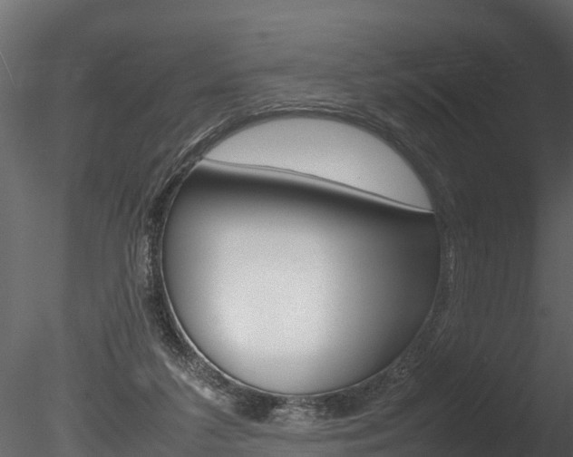 X0000085740211200703160912