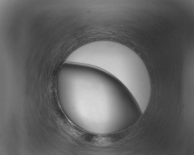 X0000085740221200703160912