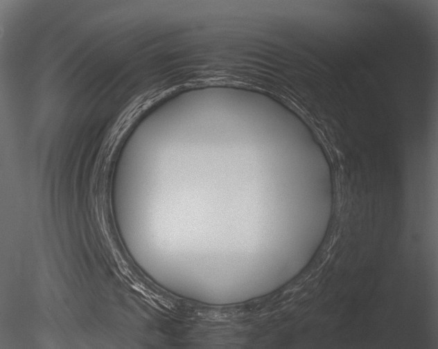 X0000085740241200703160910