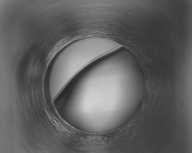 X0000085740242200703160910
