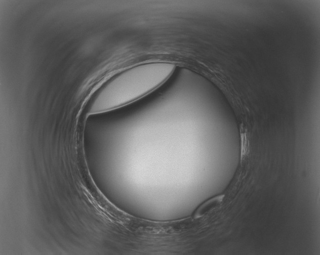 X0000085740243200703160910