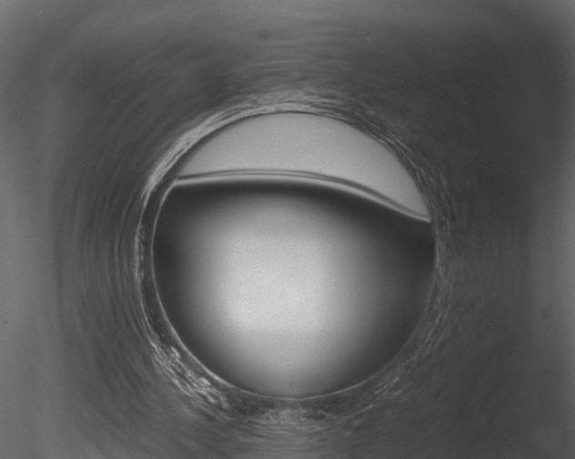 X0000085740244200703160910