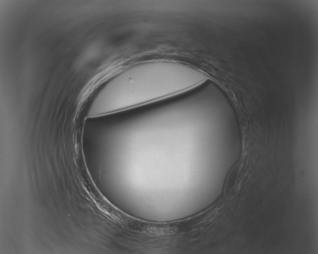 X0000085740245200703160910