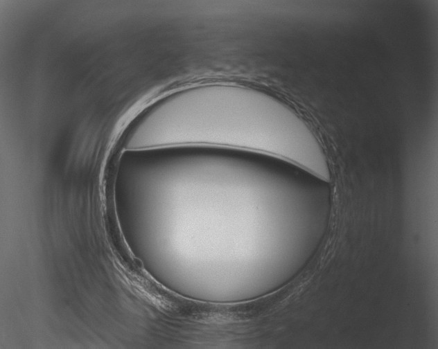X0000085740246200703160910