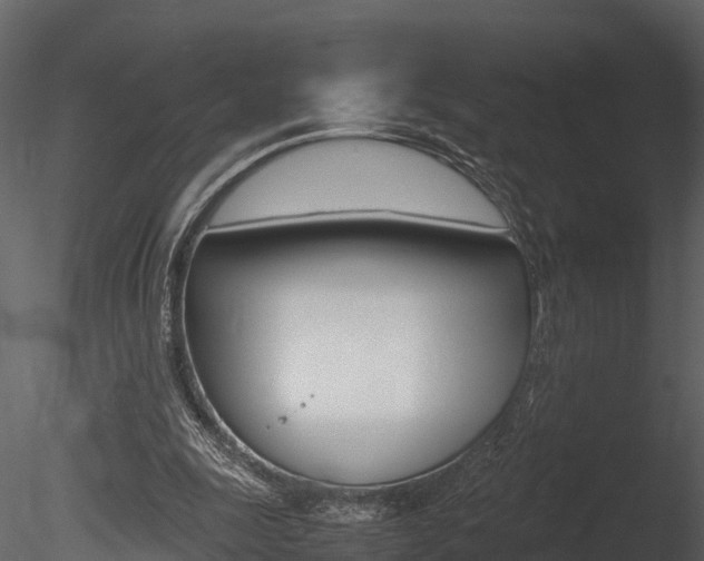 X0000085740247200703160910