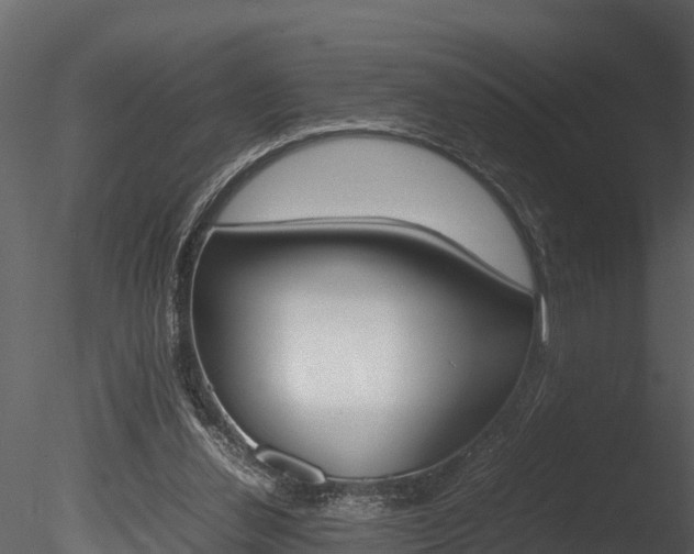 X0000085740252200703160911
