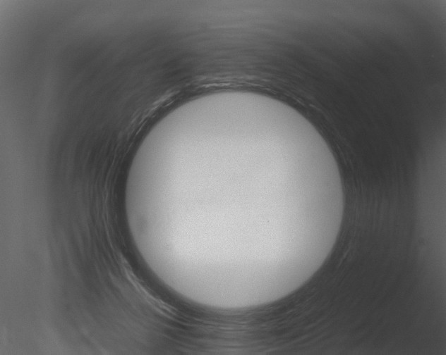 X0000085740264200703160911
