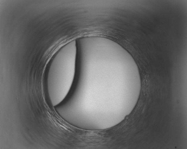 X0000085740290200703160910