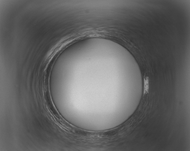 X0000085740291200703160910