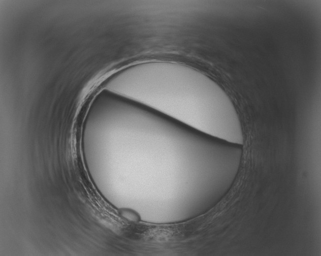 X0000085740294200703160910