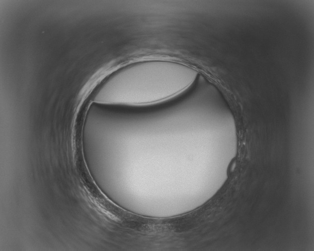 X0000085740296200703160910