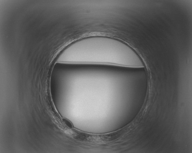 X0000085740297200703160910
