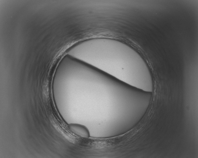 X0000085740298200703160910