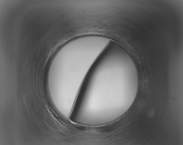X0000085740299200703160910