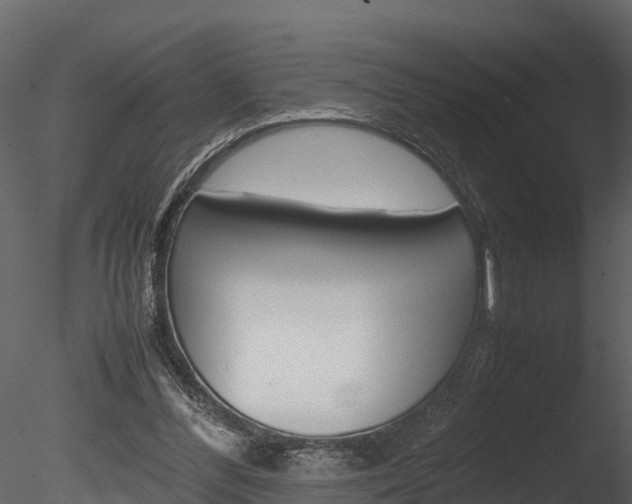 X0000085740300200703160910