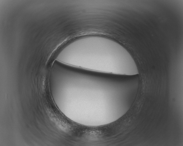 X0000085740304200703160910